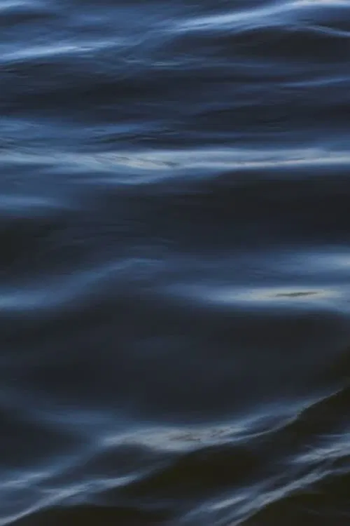 The Flood movie poster