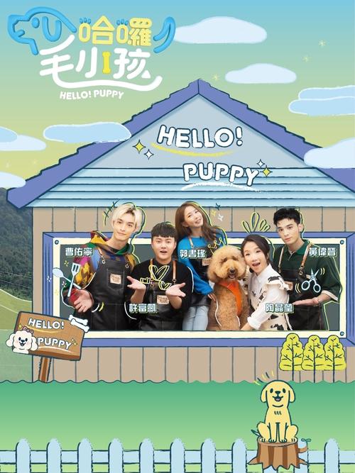 Hello! Puppy tv show poster