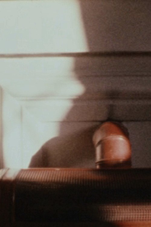 Luminous Zone movie poster