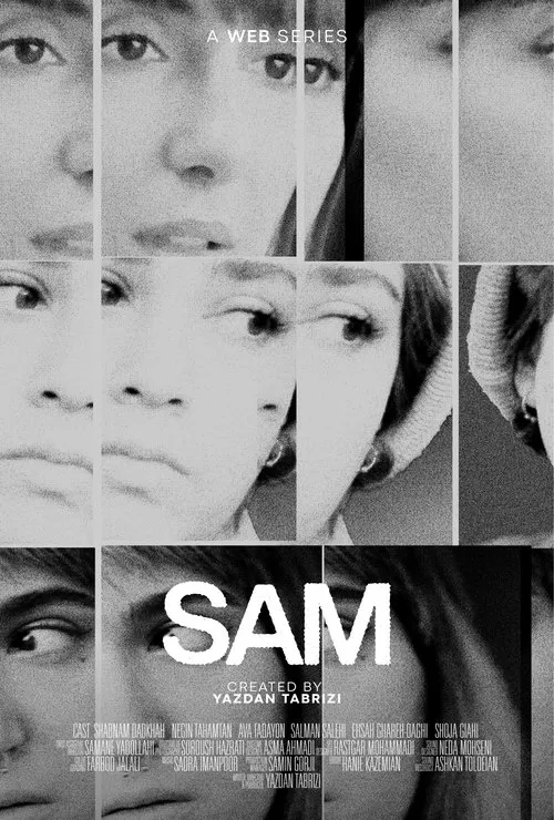 SAM tv show poster