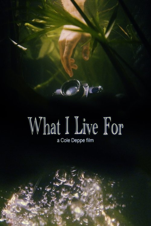 What I Live For movie poster