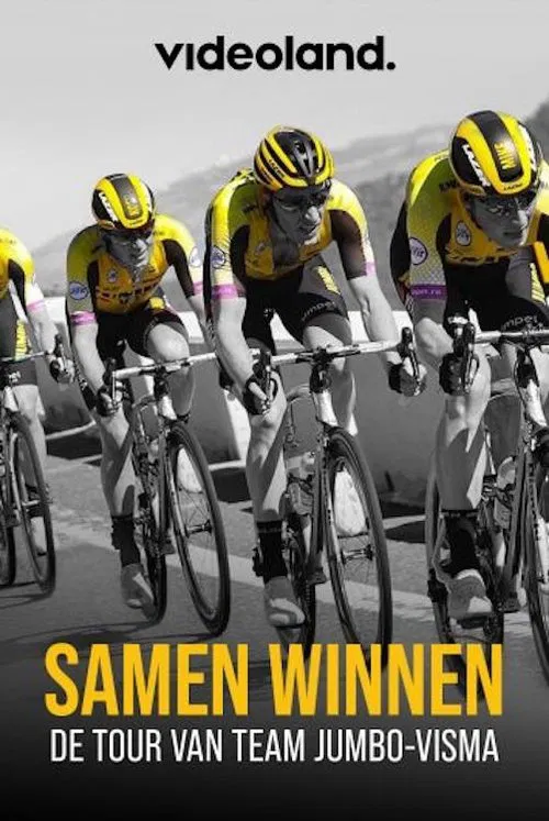 Poster do filme Samen Winnen