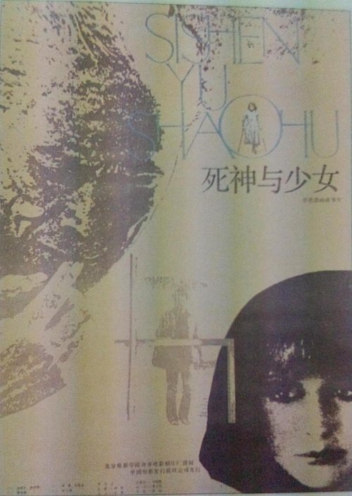 Death and the Maiden movie poster