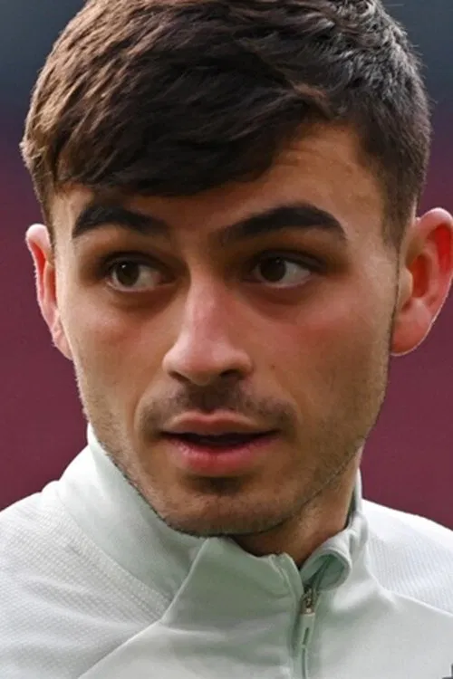 Pedri profile picture