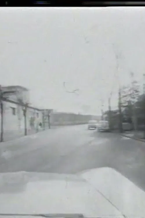 Zavoli incontra Basaglia: I giardini di Abele movie poster