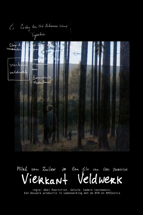 Square Fieldwork movie poster