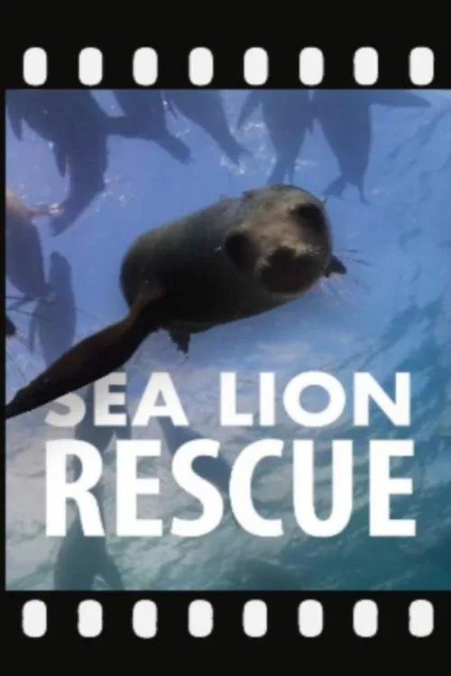 Sea Lion Rescue movie poster