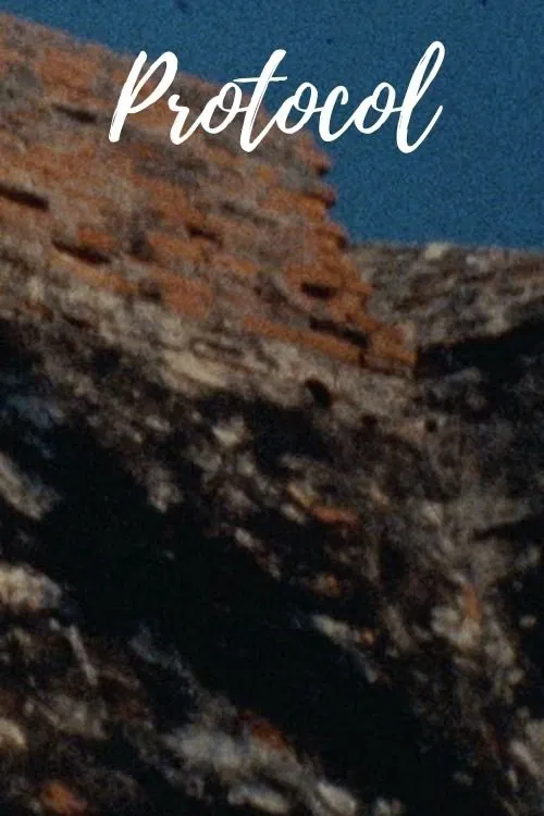 Protocol movie poster