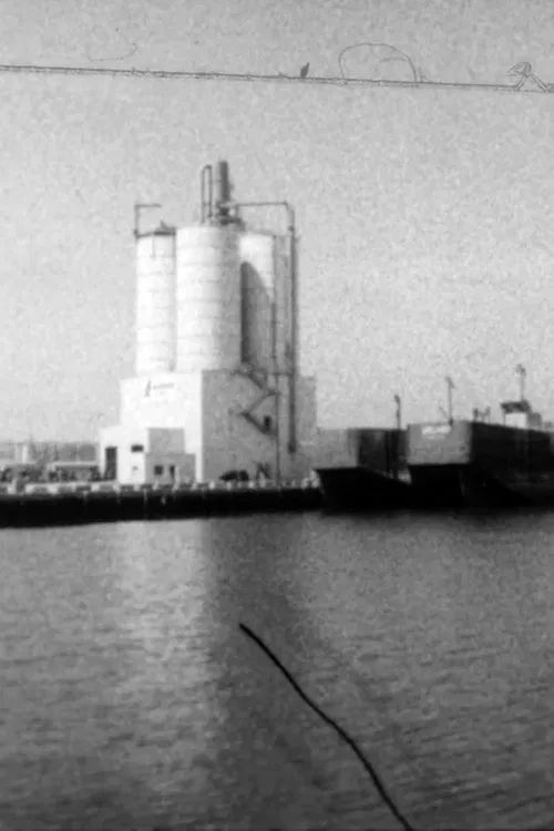 Gowanus Haze movie poster