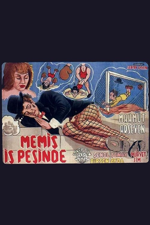 Memiş İş Peşinde movie poster