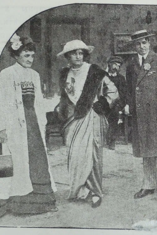 Mother-in-law in the Harem movie poster