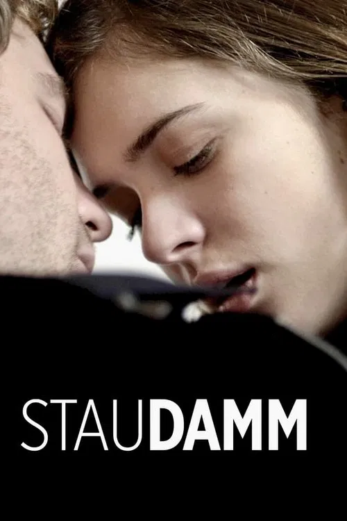 Staudamm movie poster