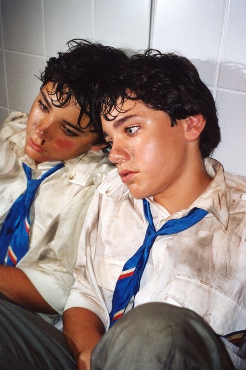 Únos domů movie poster