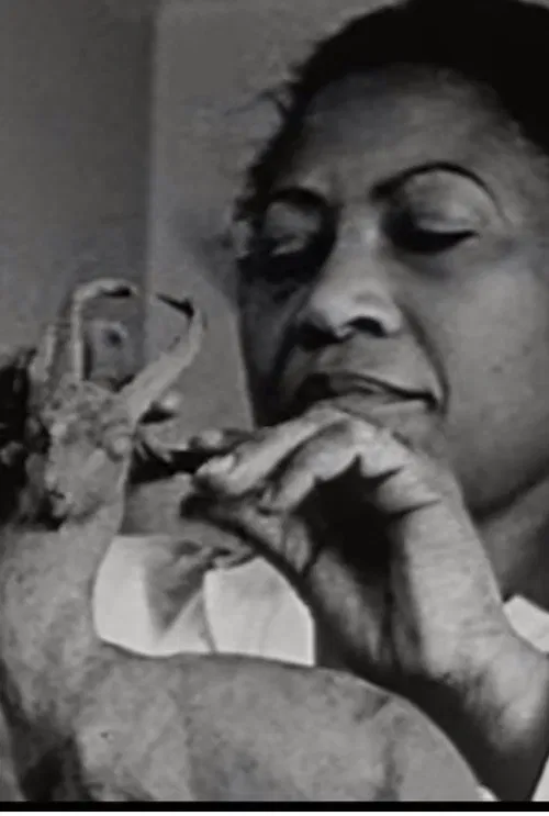 Poster do filme A Study of Negro Artists