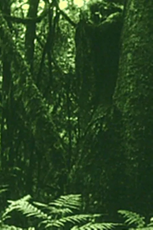 The Eyes in the Woods and the Taste in the Water movie poster