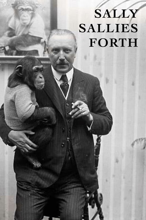 Sally Sallies Forth movie poster