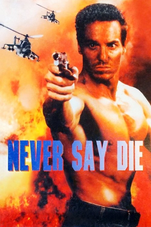 Never Say Die movie poster