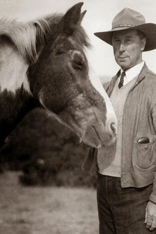 Fritz the Horse profile picture
