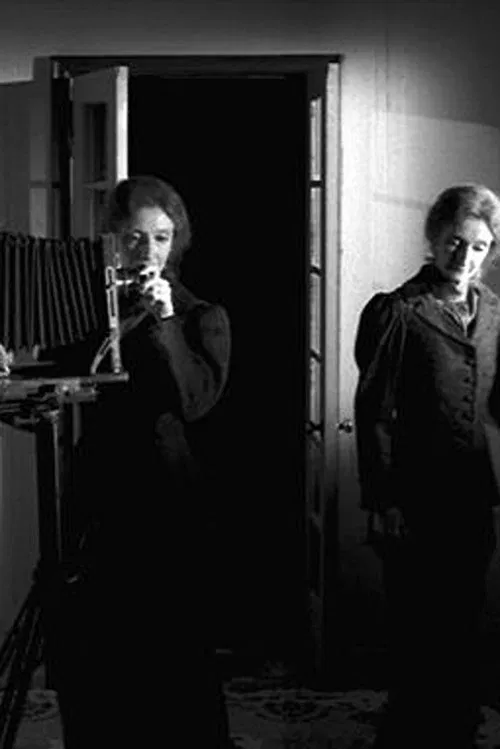 The Multiple Selves of Hannah Maynard movie poster