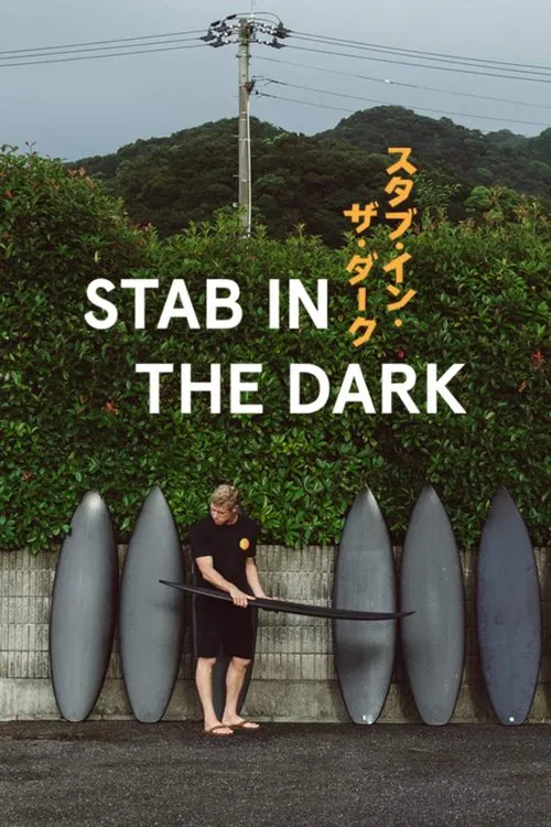 Stab in the Dark movie poster