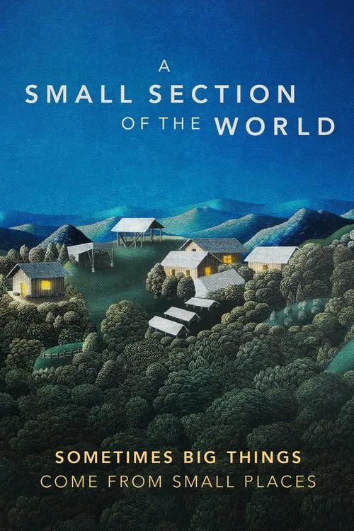 A Small Section of the World movie poster