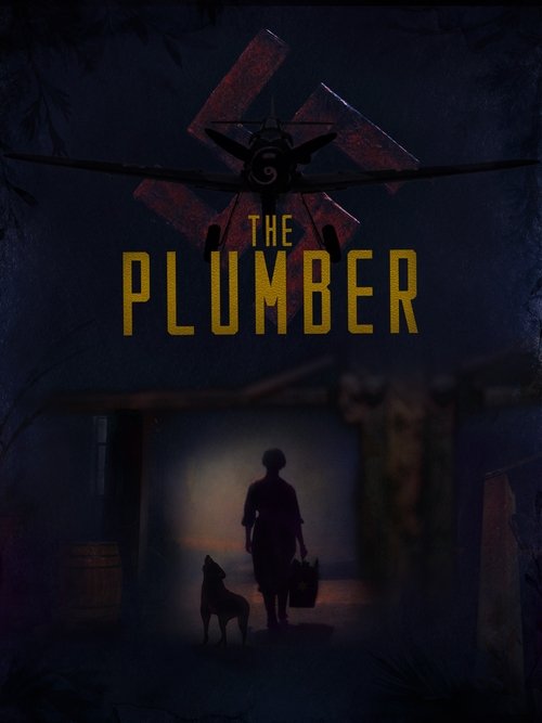 Poster do filme The Plumber
