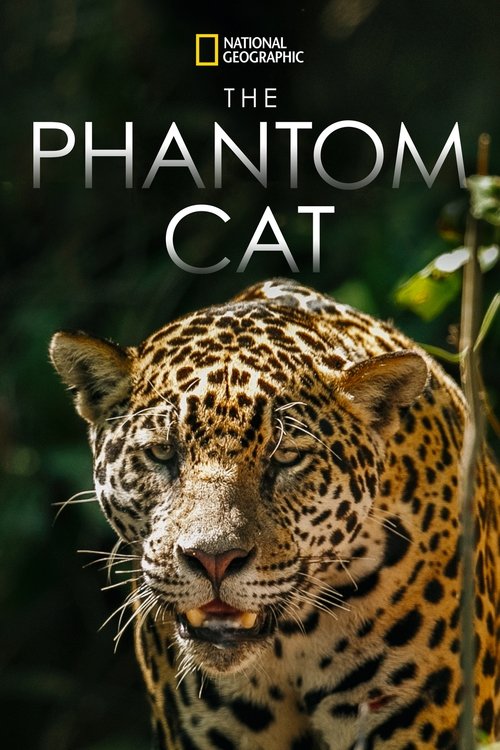 The Phantom Cat: Jaguar movie poster