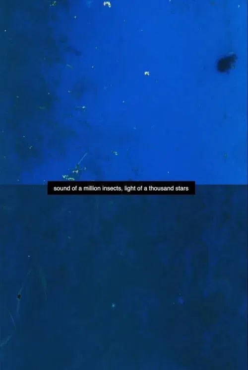 Sound of a Million Insects, Light of a Thousand Stars movie poster