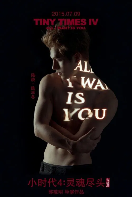 Tiny Times 4 movie poster