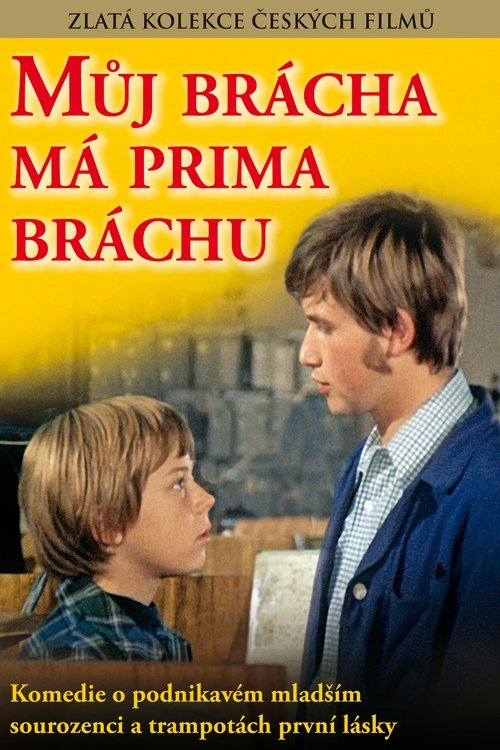 My Brother Has a Cute Brother movie poster