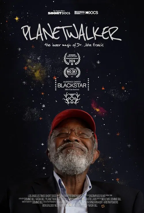Planetwalker movie poster