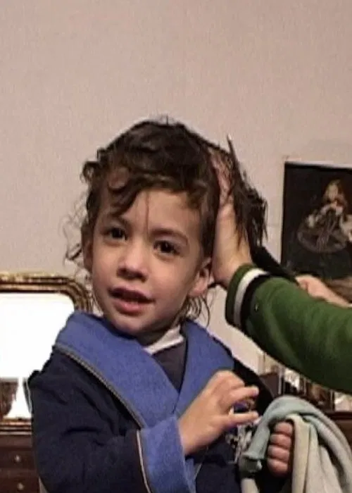 Les cheveux coupés movie poster