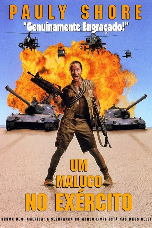 Poster do filme Um Maluco no Exército