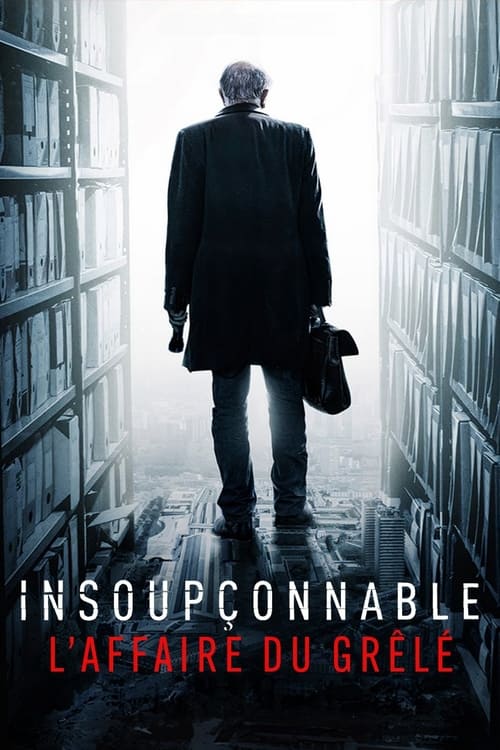Insoupçonnable, l'affaire du Grêlé tv show poster