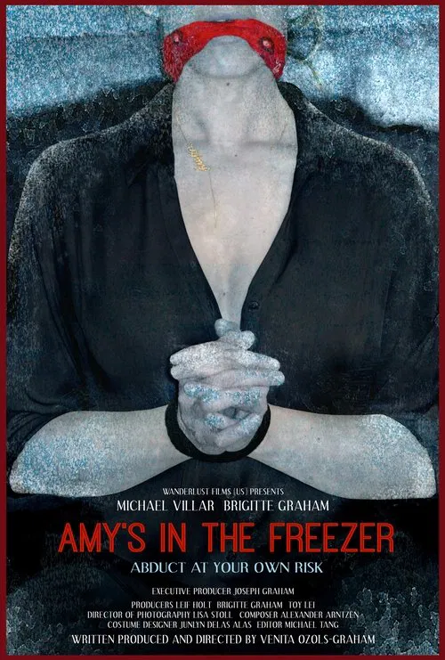 Amy's in the Freezer movie poster