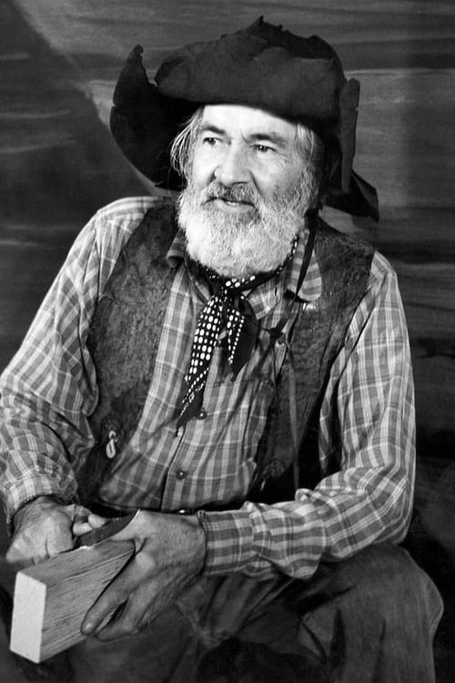The Gabby Hayes Show tv show poster