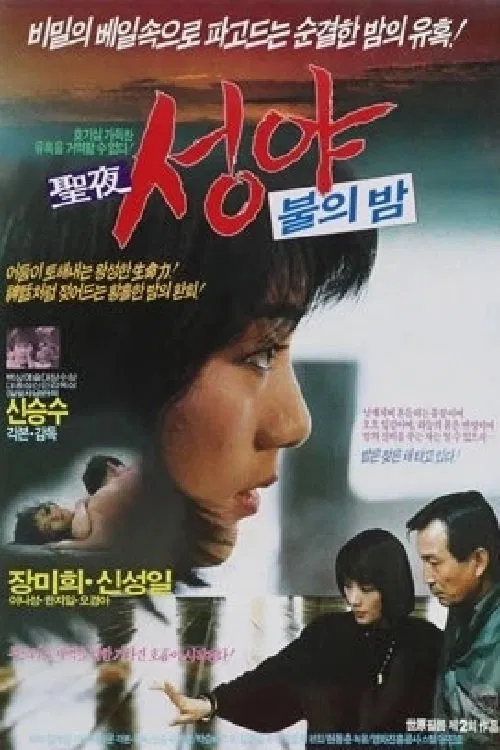 Holy Night movie poster