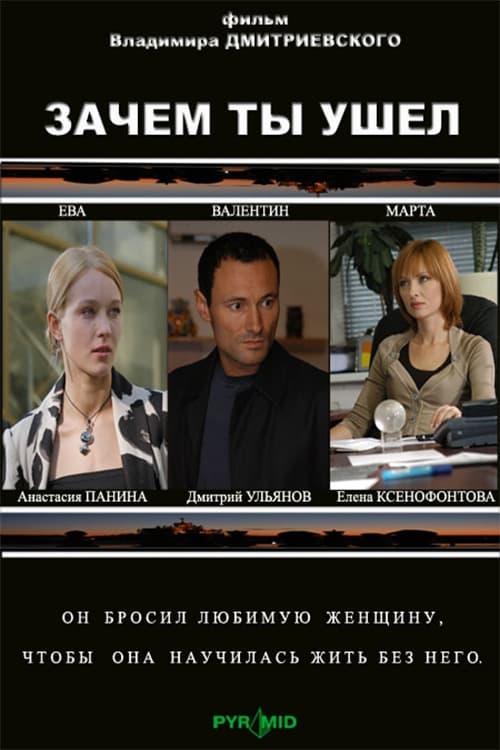 Why did you leave? movie poster