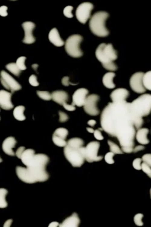 Out of the Light movie poster