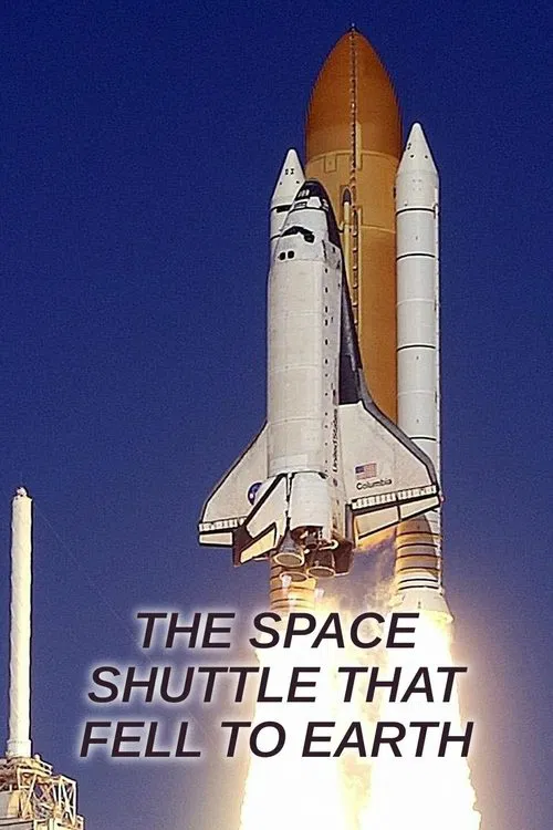 The Space Shuttle That Fell to Earth tv show poster