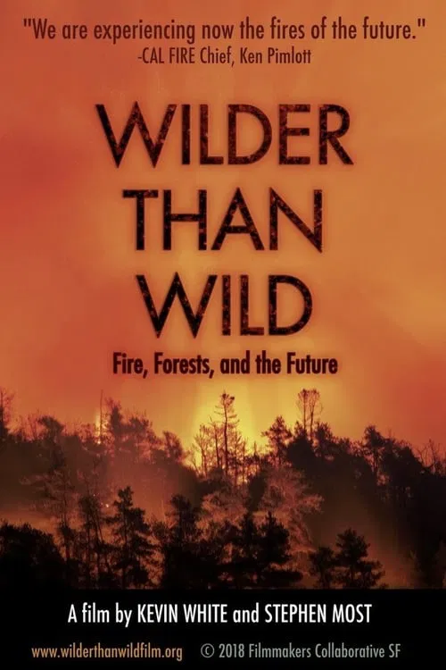 Wilder than Wild: Fire, Forests, and the Future movie poster