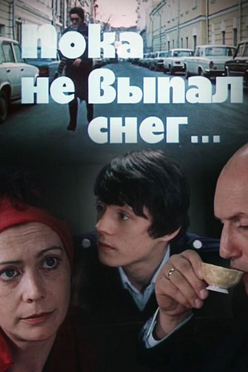 Poster do filme Until the Snow Fell