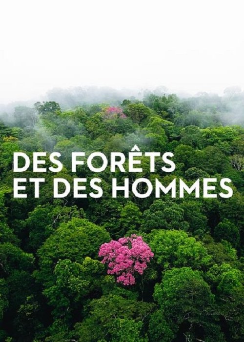 Forests and People movie poster