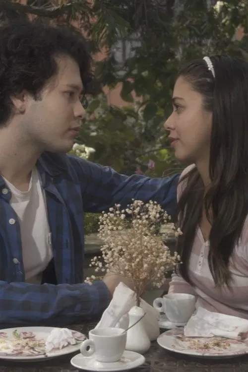 Manual do Amor para Jovens Desastrados movie poster