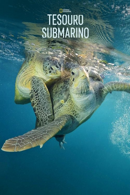 Poster do filme Tesouro Submarino