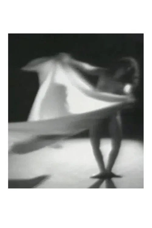 Poster do filme Dervish 2