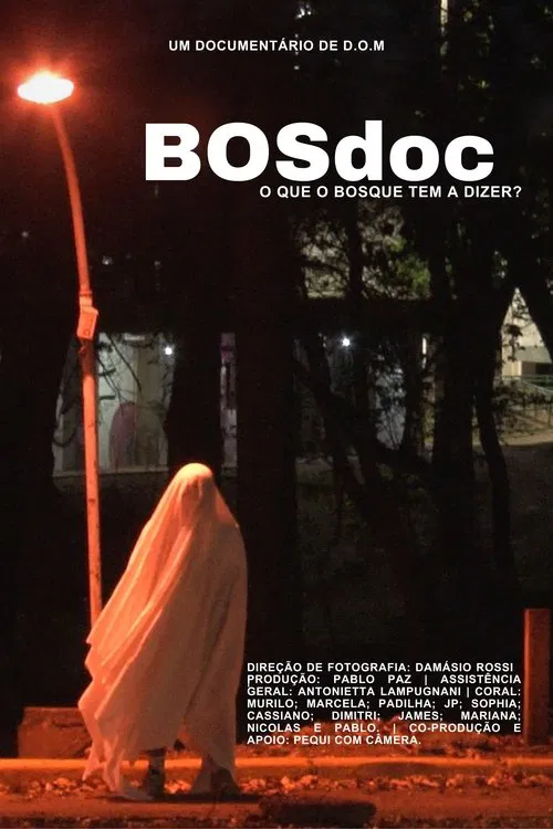 BOSdoc movie poster