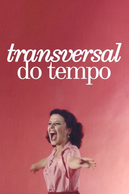Poster do filme Transversal do Tempo
