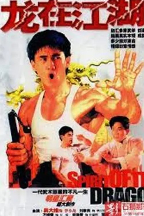 李小龙传 tv show poster