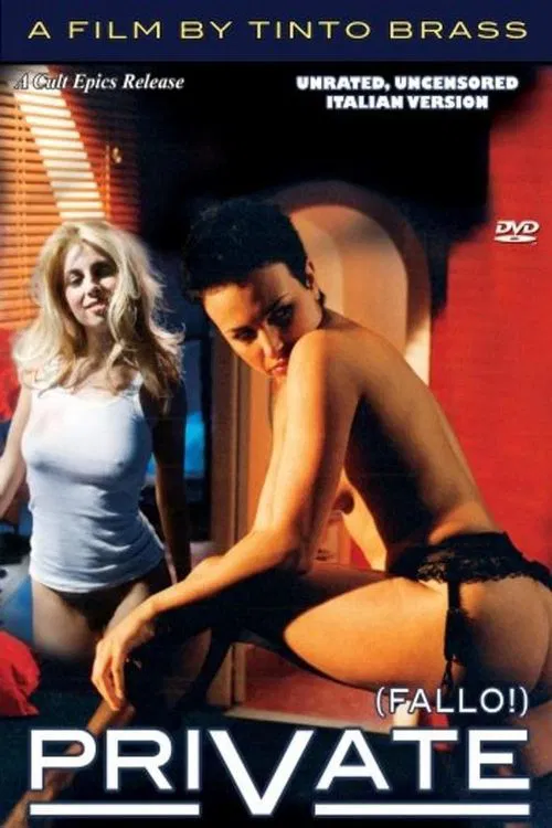 Private movie poster